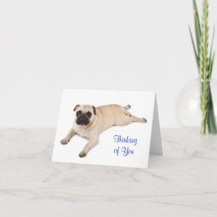 Cartão Thinking of You Pug Blank Note Card