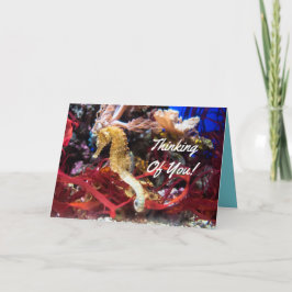 Cartão Thinking Of You Seahorse