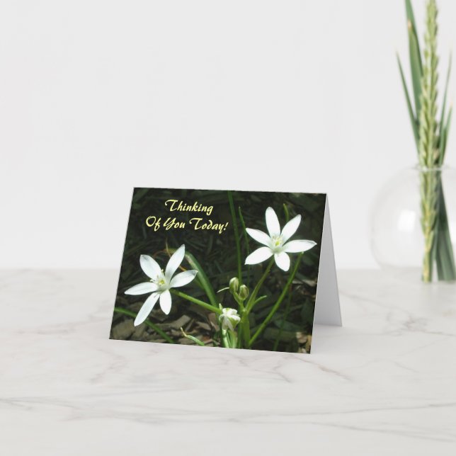 Cartão Thinking Of You Today! - Blank Inside (Frente)