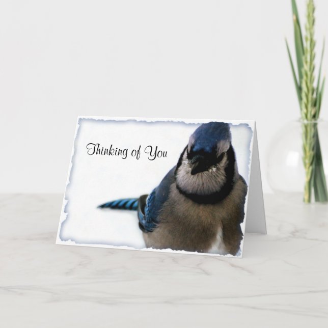 Cartão Thinking of You - Winter Blue Jay Series (Frente)