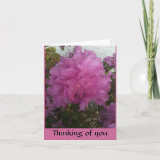 Cartão thinking of you with single pink blossom photo