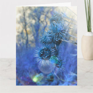 Cartão Thistle na Placa Roxa