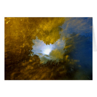 Cartão "thomas moran close-eye vision"