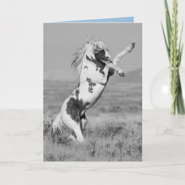 Cartão Thor Rears Wild Horse Greeting Card (Frente)