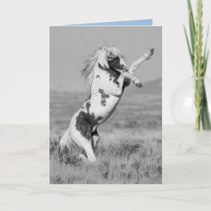 Cartão Thor Rears Wild Horse Greeting Card