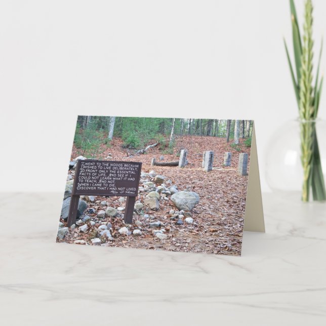 Cartão *Thoreau's location of cabin foundation. Card (Frente)