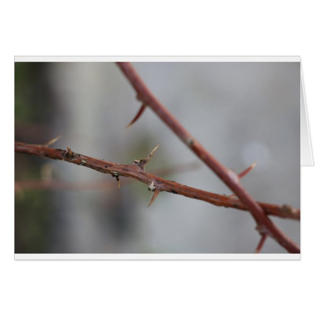 Cartão Thorns (Frente Horizontal)