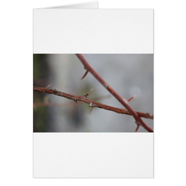 Cartão Thorns (Frente)