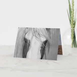Cartão Thor's Eyes - Wild Horse Greeting Card