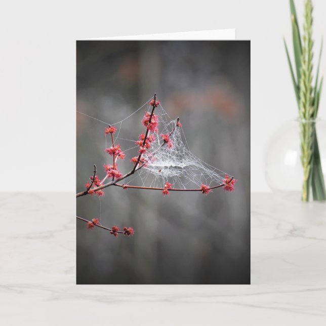 Cartão Threads primavera, placa (Frente)