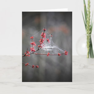 Cartão Threads primavera, placa