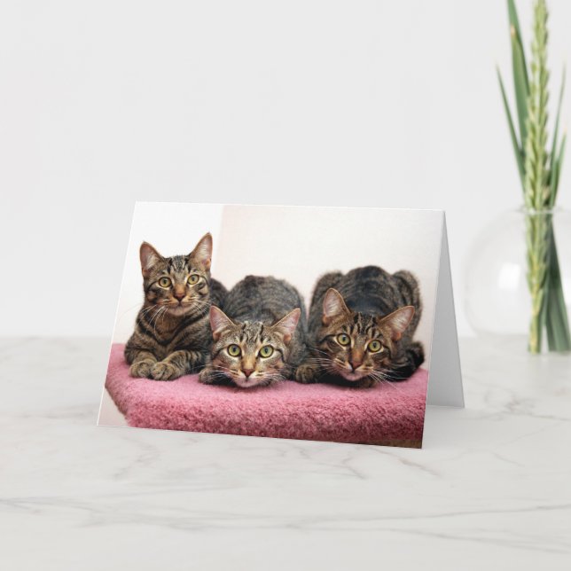 Cartão Three Amigo's Cards (Frente)