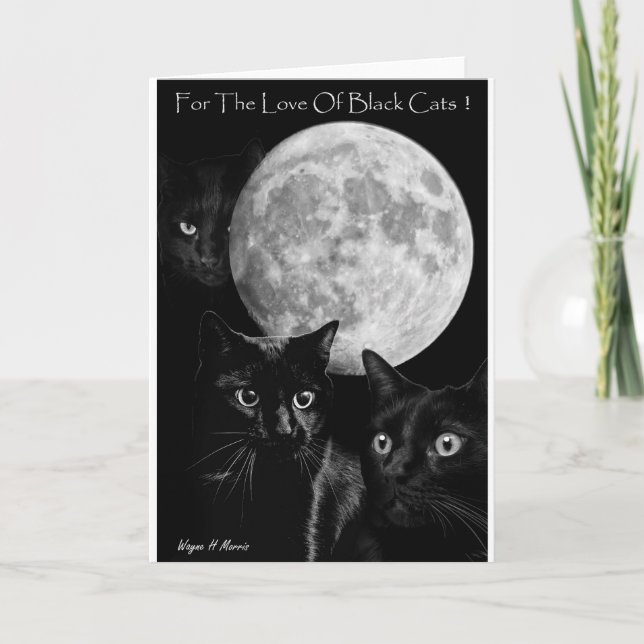 Cartão Three black cats and the moon greeting card (Frente)