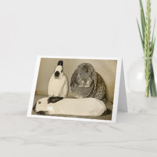 Cartão Three Bunnies Greeting Card