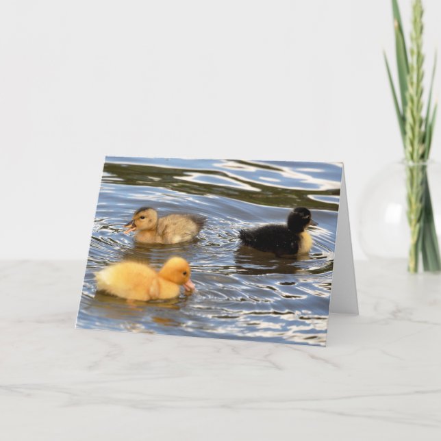 Cartão Three coloured ducklings (Frente)