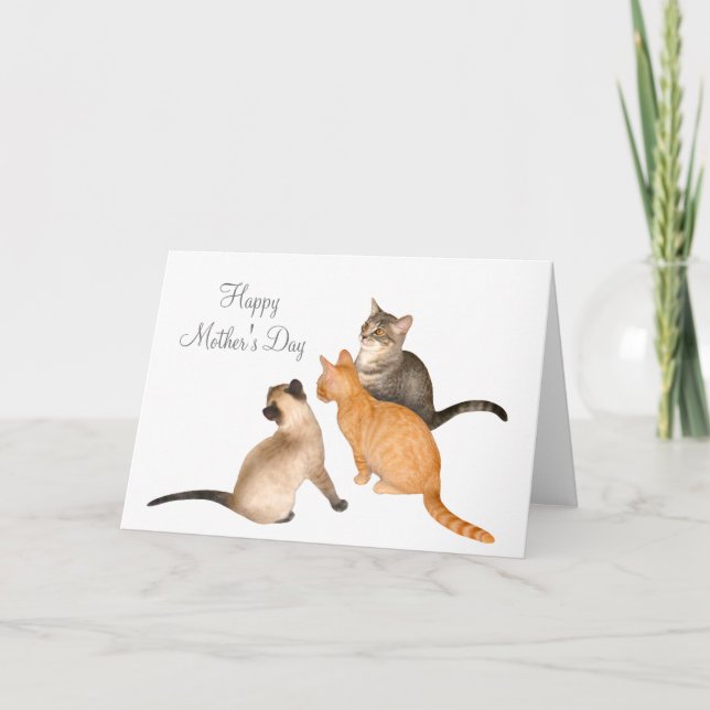 Cartão Three Kittens Mother's Day Card (Frente)