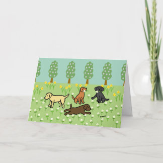 Cartão Three Labradors with Spring Flowers