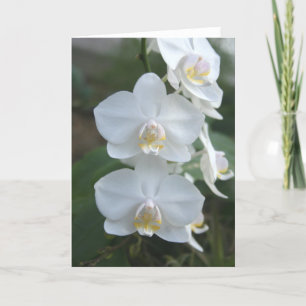 Cartão Three Little Maids Greeting Card