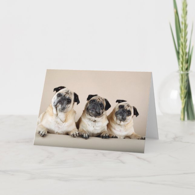 Cartão Three Pugs In A Row (Frente)