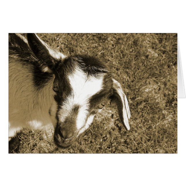 Cartão Thumblina (Frente Horizontal)