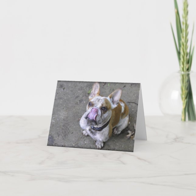 Cartão Thunder The Bulldog Greeting Cards (Frente)