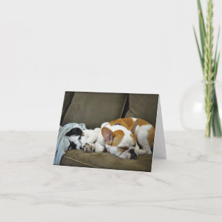 Cartão Thunder The Bulldog Greeting Cards