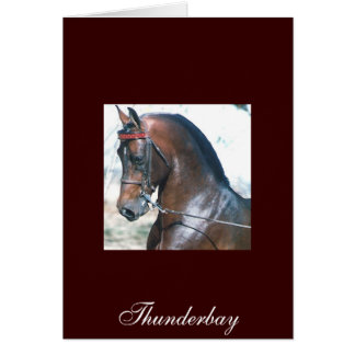 Cartão Thunderbay