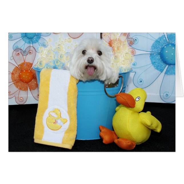 Cartão Tia - maltês (Frente Horizontal)