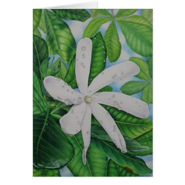 Cartão Tiare Tahiti (Frente)