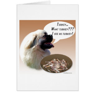 Cartão Tibetano - Espanhol Turquia