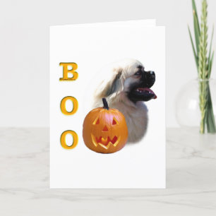 Cartão Tibetano Spaniel Boo