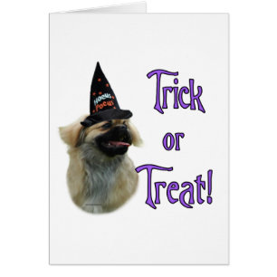 Cartão Tibetano Spaniel Trick