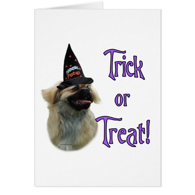 Cartão Tibetano Spaniel Trick (Frente)