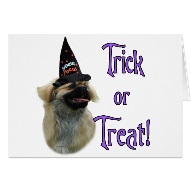 Cartão Tibetano Spaniel Trick (Frente Horizontal)