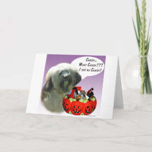 Cartão Tibetano Terrier Halloween Candy
