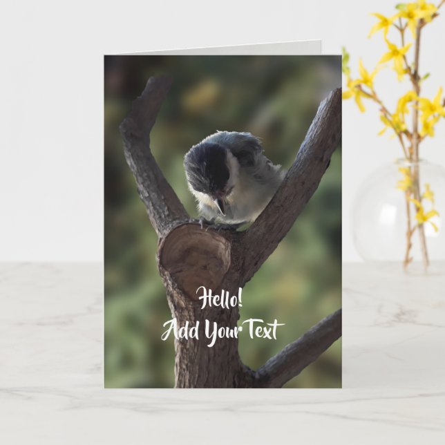 Cartão Tidi, meu Pássaro, o Parus Major (Flor Amarela)