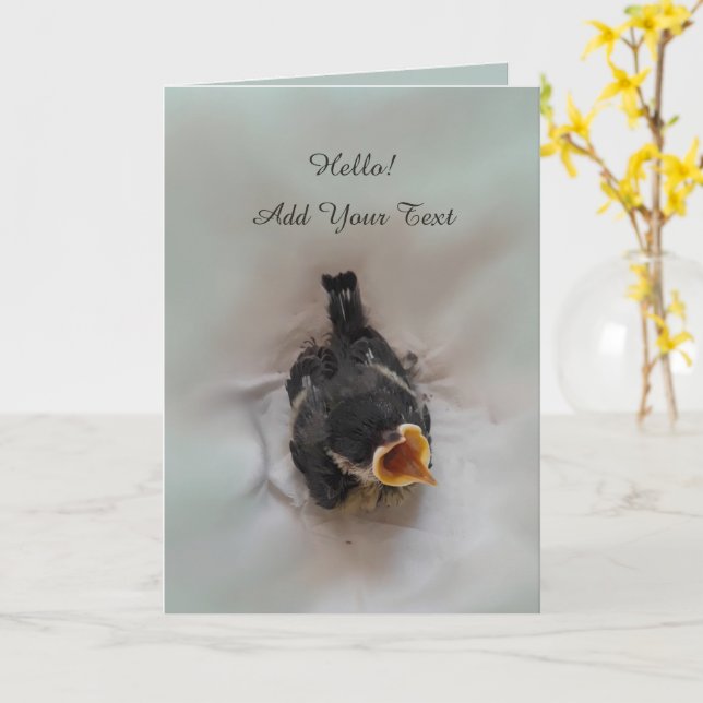 Cartão Tidi, meu Pássaro, o Parus Major (Flor Amarela)