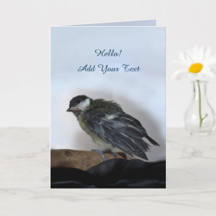 Cartão Tidi, meu Pássaro, o Parus Major