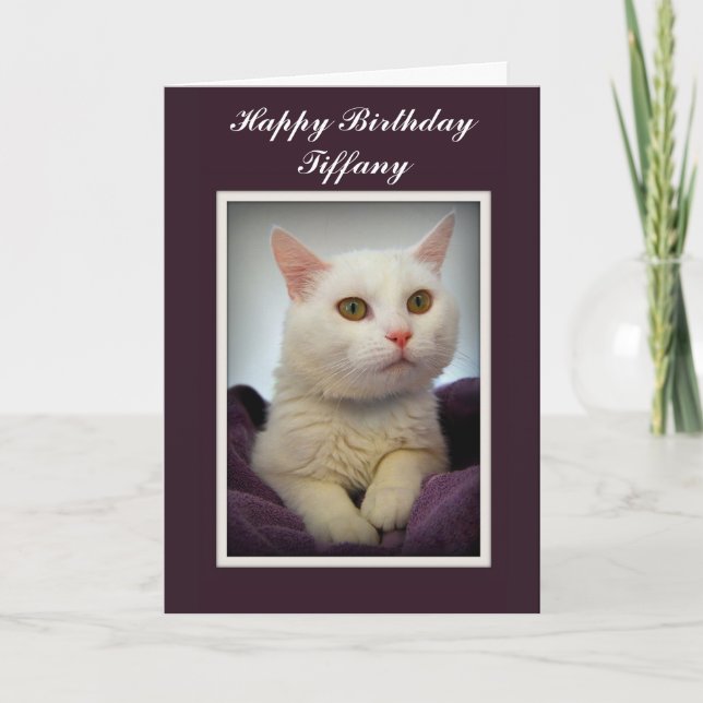 Cartão Tiffany Happy Birthday White Cat Card (Frente)