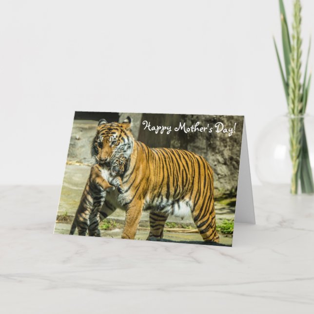 Cartão Tiger and Cub Mother's Day Card (Frente)