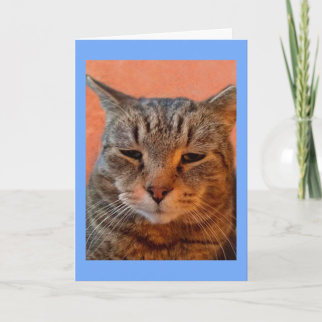 Cartão Tiger Cat Miss You (Frente)