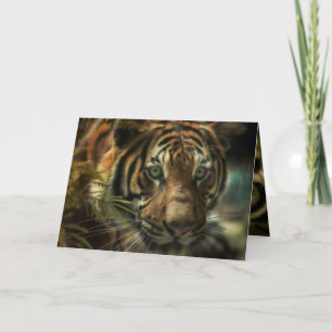 CARTÃO TIGER GROUND ZERO