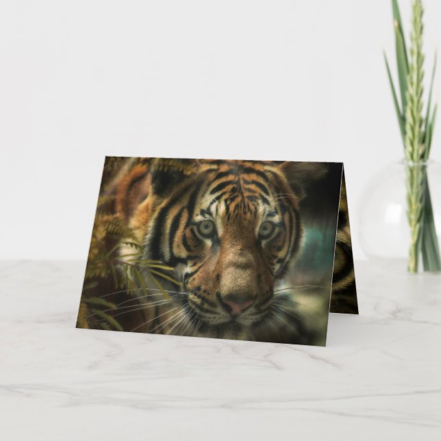 CARTÃO TIGER GROUND ZERO (Frente)