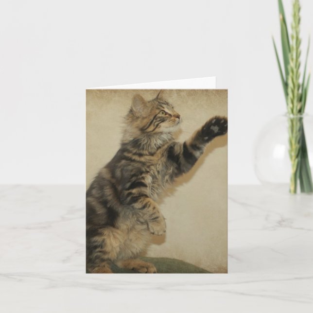 Cartão Tiger Kitten Notecard - Playing (Frente)