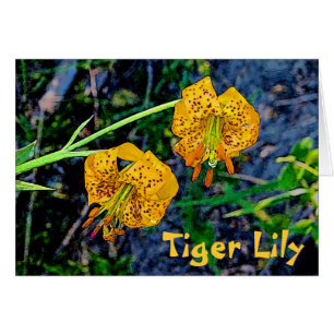 Cartão Tiger Lily