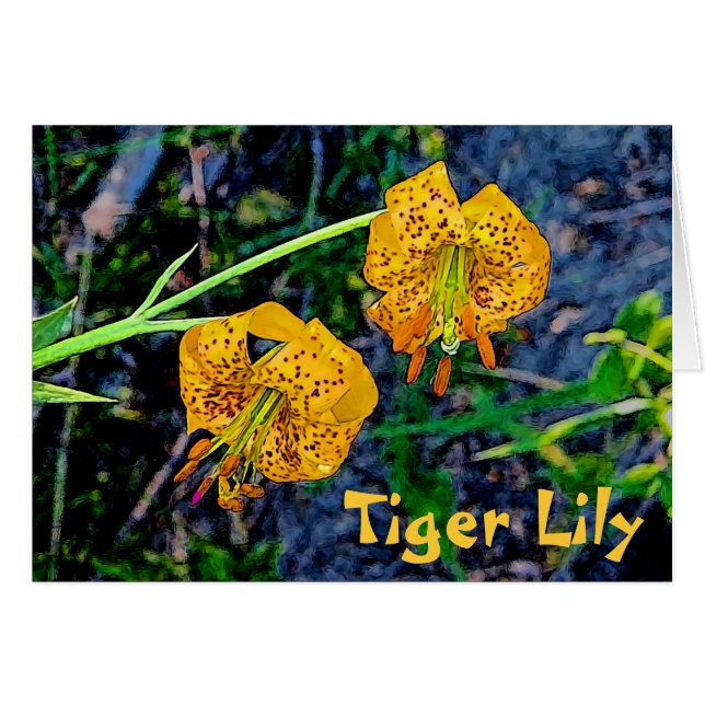 Cartão Tiger Lily (Frente Horizontal)