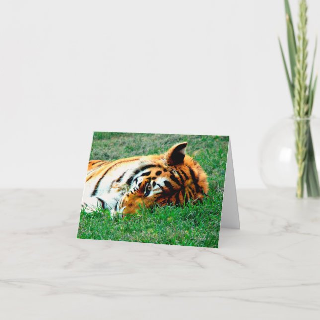 Cartão Tiger Lying down Note Card (Frente)