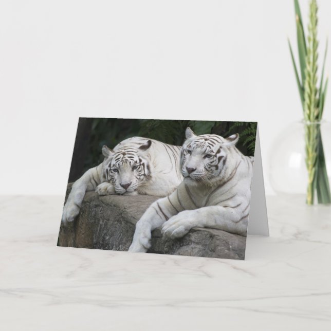 Cartão Tiger Pair (Frente)