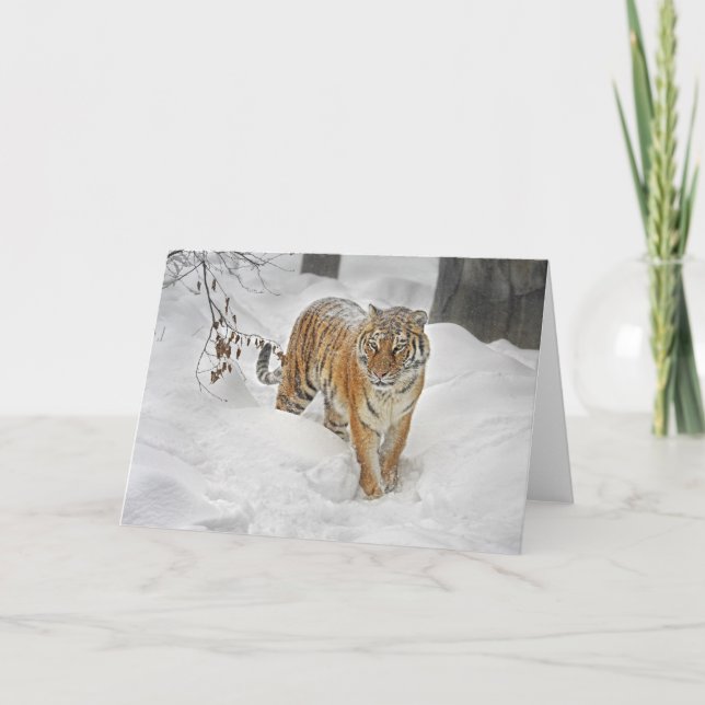 Cartão Tiger Snow Path (Frente)
