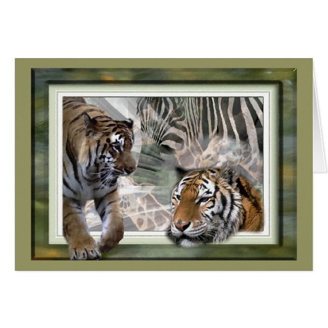 Cartão Tiger, Zebra, Girafa, Presentes De Amantes (Frente Horizontal)